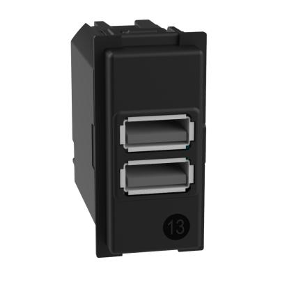 Розетка 2x USB тип A+A 15W 5V 1M  - bticino Living Now K4191AA