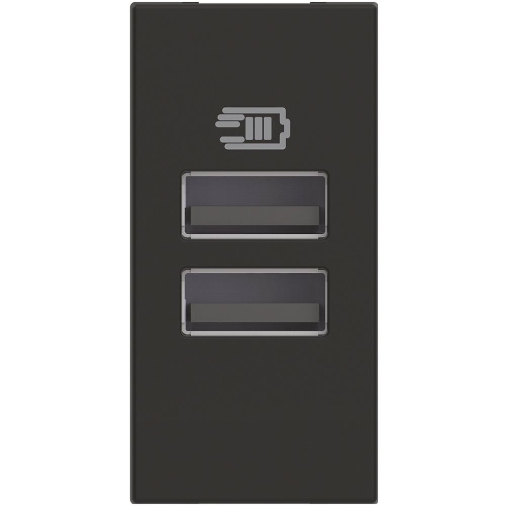 Розетка 2x USB тип А+А 15W/3A 5V 1M Classia Черен /блистер/  - bticino Classia RG4191AA