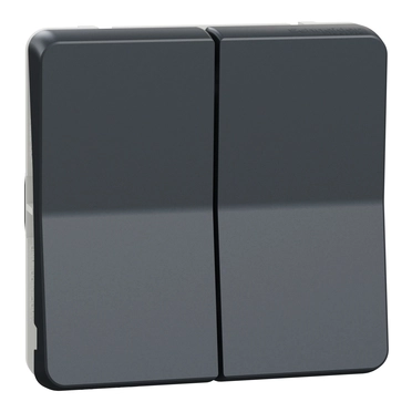 Сериен девиаторен ключ механизъм 10A IP55 Антрацит