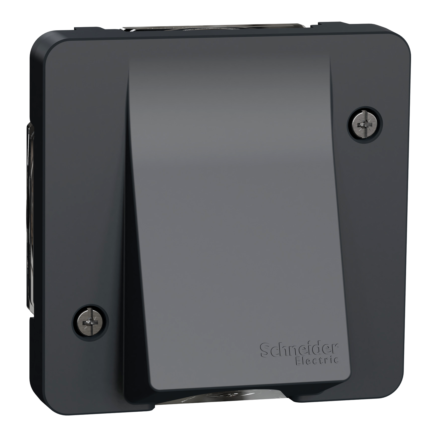 Твърда връзка механизъм IP55 Антрацит - SCHNEIDER ELECTRIC Mureva Styl MUR37931