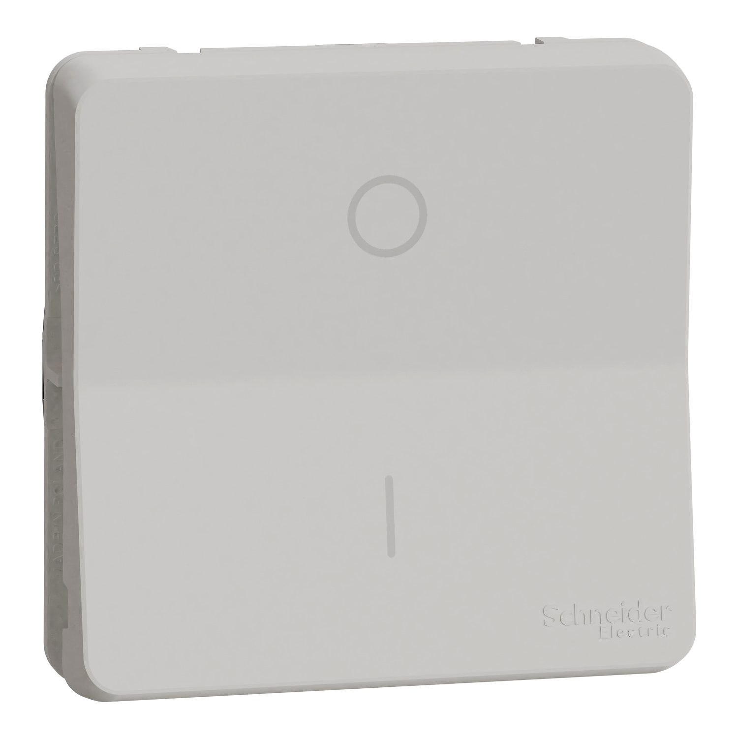 Двуполюсен ключ 16A механизъм 10A IP55 Бял - SCHNEIDER ELECTRIC Mureva Styl MUR39033