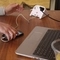 Разклонител Desktop Power 2x 2P+E Шуко и 2x USB A зареждане 2100mA с кабел 1.8m Бял