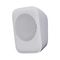 100V 3/6W loudspeaker - Euroshine CH-516T