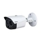 IP термо камера булет DUAL 10 mm 256x192 / 4MP видео - DAHUA TPC-BF1241-B10F12-DW-S8
