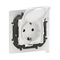 Schuko 2P+E 16A socket with cover IP44 child protection and automatic terminals White - Legrand Niloe New NP3128WH