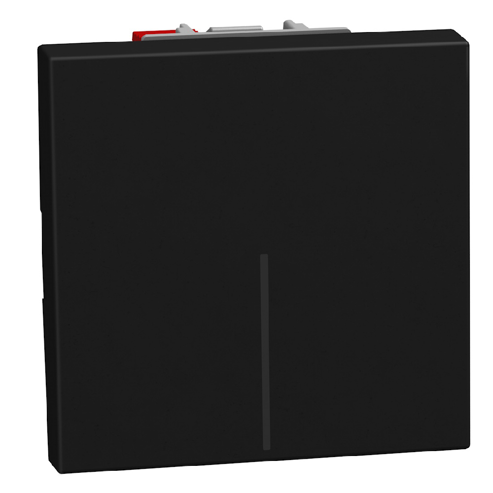 Бутон 2M 10А Графит - bticino Light Now YD4005M2A