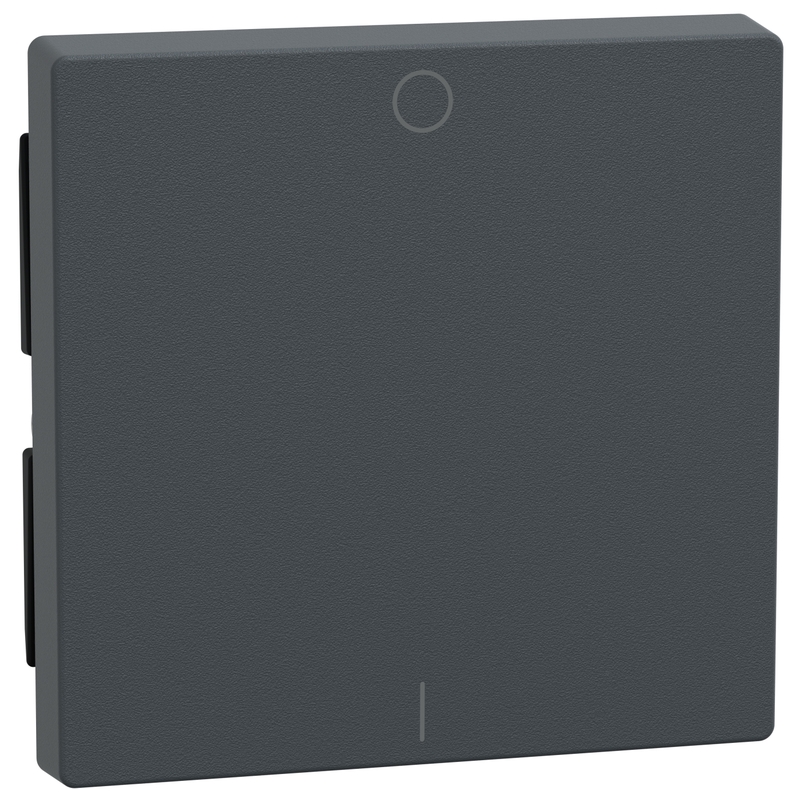 Лицев панел за двуполюсен ключ символ O/I Антрацит System M - Schneider Electric Merten System M 433214
