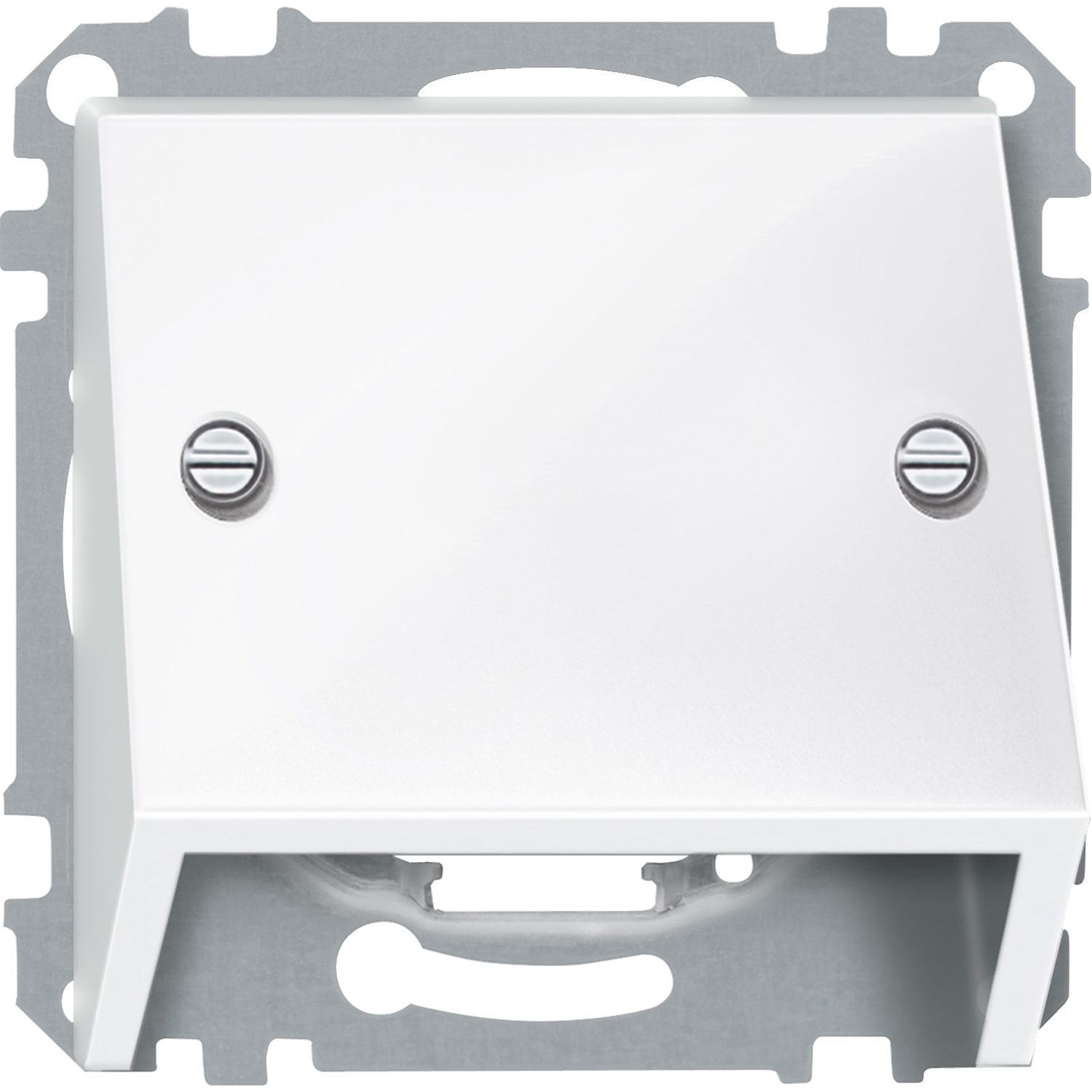 Наклонен излаз Полярно бяло гланц System M - SCHNEIDER ELECTRIC Merten System M 464919